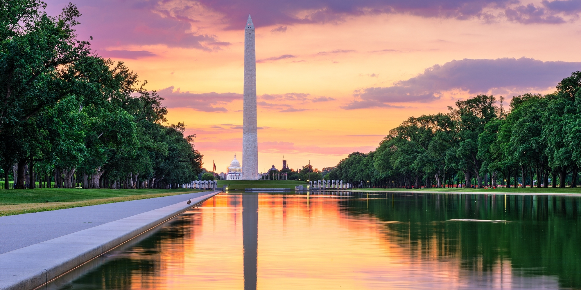 Washington DC monument reflected at sunset